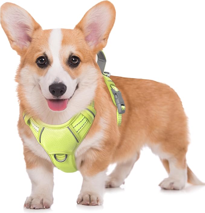 BARKBAY No Pull Dog Harness Large Reflective Dog Harness with Front Clip and Easy Control Handle for Walking Training Running with ID tag Pocket(Sunlight,M) by BARKBAY