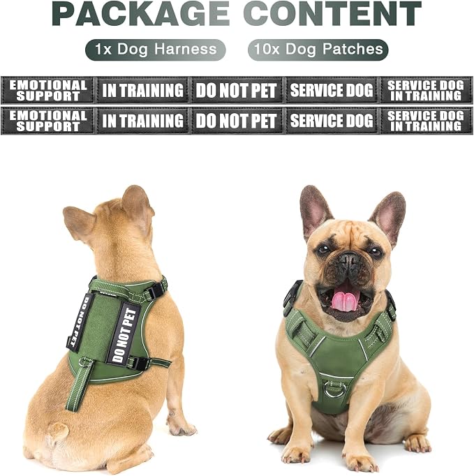 Tactical Dog Harness, No Pull Dog Harness for Medium Large Dogs with Handle & Molle, Military Service Dog Vest Harness in Training Pet Harness for Small Dogs - Image 2