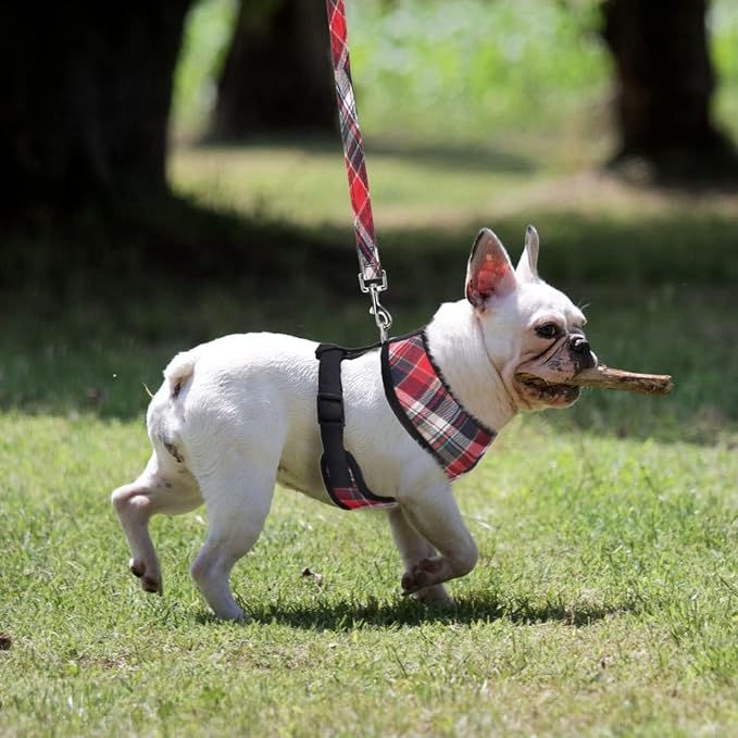 PUPTECK Small Dog Harness and Leash Set No Pull for XS XXS Sized Dogs Puppy | Escape Proof No Choke Pet Cat Adjustable Soft Padded Walking Vest - Image 6