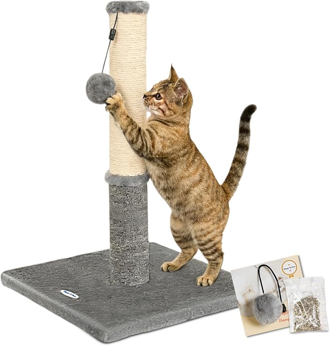 Cat Scratching Post, Cat Scratchers for Indoor Cats, with Toys | For Kitten & Medium Cats, Sisal & Carpet In One For Various Scratching Needs, Solid Structure, Extra Free Toy, Light Gray by HappiNPets