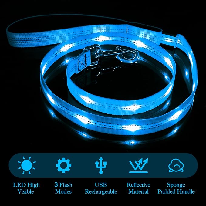 Illumifun LED Dog Leash, USB Rechargeable Glowing LED Lead, 4 FT Nylon Light Up Leashes for Dogs Wlaking at Night (BlueⅡ) - Image 2