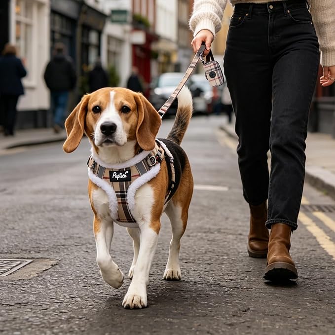 PUPTECK Dog Harness and Leash Set Small Sized, Step in No Pull Adjustable Puppy Cat Harness Reflective Pet Vest - Image 6