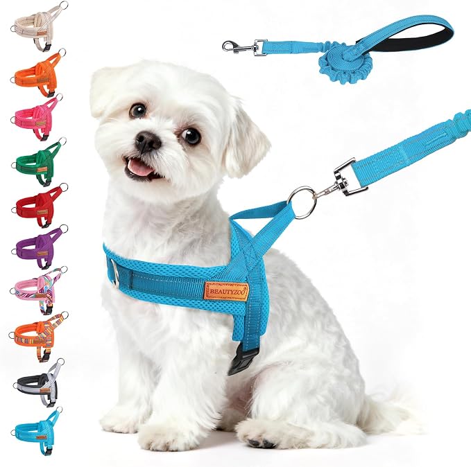 BEAUTYZOO Small Dog Harness and Leash Set, No Pull Step in Puppy Vest | Breathable Mesh with Handle, Reflective, Adjustable No Choke Escape Proof, Lightweight, Easy Control for Walking, Blue S by BEAUTYZOO