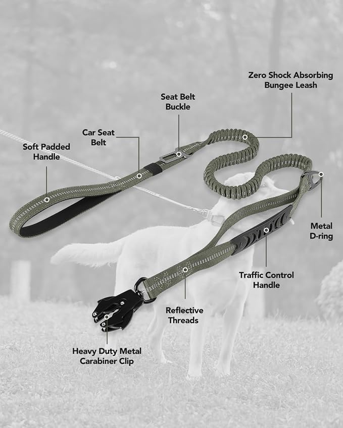 Joytale Tactical Bungee Dog Leash, Shock Absorbing No Pull, Army Green | for Large Dogs That Pull, 2 Padded Handles for Control, Car Seatbelt Clip, Reflective for Night Safety, Metal Frog Clip - Image 7