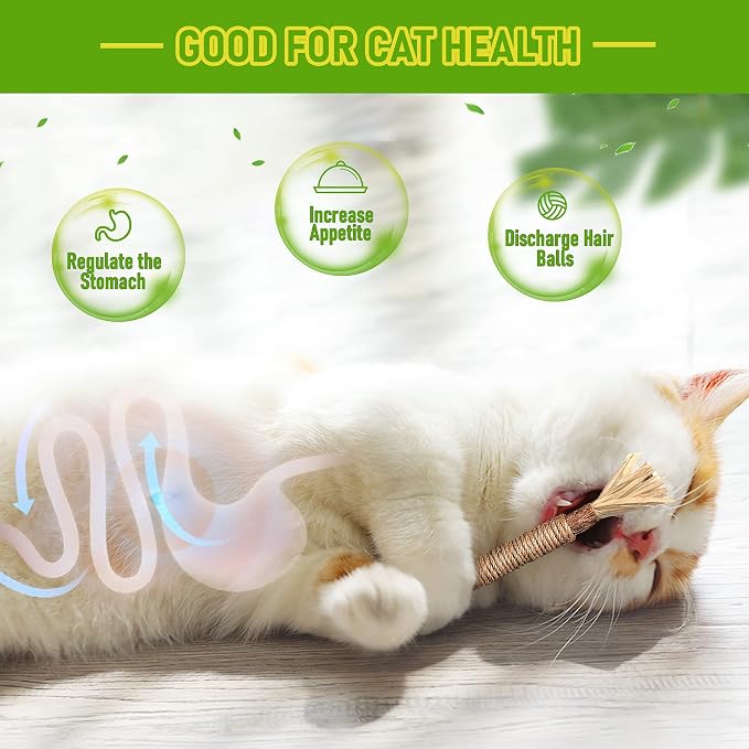 BAWAN Silvervine Sticks Cat Chew Toys for Indoor Cats Dental Care Teeth Cleaning, Natural Kitten & Cat Teething Toys for Health, Cat Chew Stick Suitable for All Breeds of Aggressive Chewers Cat - Image 3