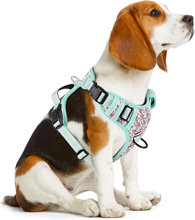 Timos Dog Harness, Front Clip No Pull Medium Sized with Handle, Cyan, M | No Choke, Adjustable Reflective Soft Padded, Quick Release 3 Buckles, Easy On & Off, Front & Back 2 Clips for Outdoor Walking - Image 6