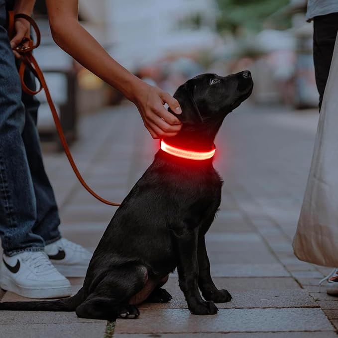 Illumifun Light Up Dog Collar - USB Rechargeable LED Dog Collar Glow in the Dark, Adjustable Pet Collar Light for Night Walking (Red, Medium) - Image 6