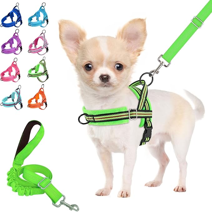 Lukovee Soft Padded Small Dog Harness (X-Small, Green) with 4ft Lightweight Leash, Adjustable Reflective Vest for Walking, Running, Hiking, Training | Both Neck & Chest Adjustable, Reflective, Puppy Harness with 4ft Lightweight Anti-Twist Dog Leash for... by Lukovee