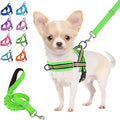 Lukovee Soft Padded Small Dog Harness (X-Small, Green) with 4ft Lightweight Leash, Adjustable Reflective Vest for Walking, Running, Hiking, Training | Both Neck & Chest Adjustable, Reflective, Puppy Harness with 4ft Lightweight Anti-Twist Dog Leash for... by Lukovee