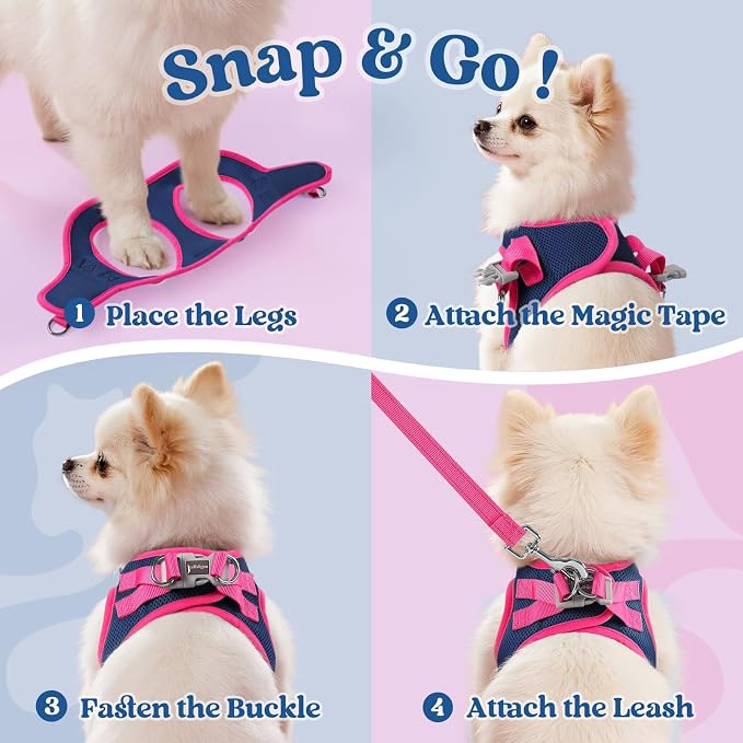rabbitgoo Dog Harness Small Sized and Leash Set, Step in Soft Vest | Breathable Mesh, Easy Wear with Hook & Loop, Light and Reflective for Walking, Multi-colored, Navy Blue & Rose Red, XXS - Image 2