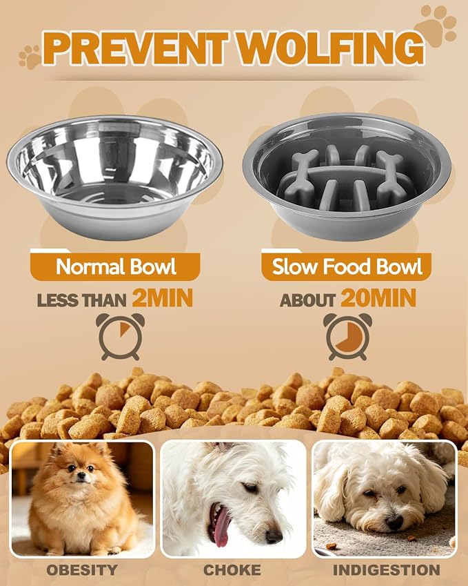 Jovrun Elevated Dog Bowls for Small Dogs and Cats, Non-Slip Cat Bowls with 1*Stainless Steel Dishes & 1*Slow Feeder Bowl, Dog Feeder 2 Heights Adjustable to 2.6"-5.3" - Image 4