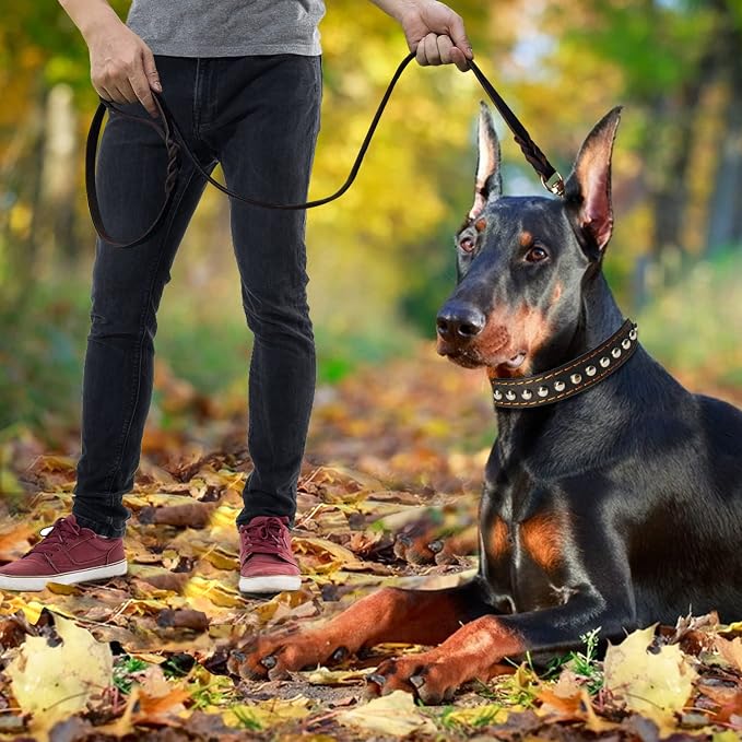 LWBMG Leather Dog Leash 8ft, Heavy Duty Genuine Leather Braided Dog Training Leash, Soft and Strong Pet Lead for Large, Medium Dogs - Image 5