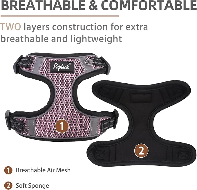 PUPTECK Dog Harness and Leash Set Small Sized, Step in No Pull Adjustable Puppy Cat Harness Reflective Pet Vest - Image 2