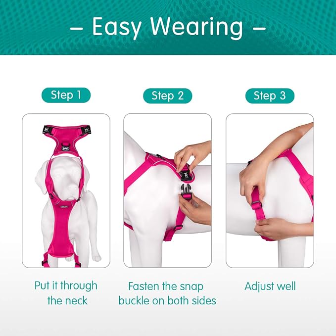 PoyPet Mesh Dog Harness, Reflective Breathable Puppy Vest for Medium Dogs | Lightweight, Soft Air Mesh, Back D-ring, Adjustable, Comfortable, Double Padded, No Choke, for Daily Walking, M, Fuchsia - Image 3