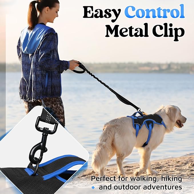 rabbitgoo Escape Proof Dog Harness for Medium, No Pull with Lift Handle | No Escape, Full Soft Padded, Reflective Adjustable Vest, Leash Clip for Walking Hiking Training, Blue & Black, Medium - Image 6