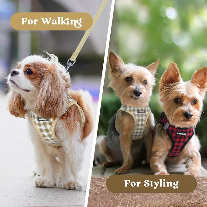 rabbitgoo Step-in Small Dog Harness, Puppy Vest for Small Sized Pet | Easy Put on and off, Lightweight, Soft, Breathable Quick-Dry Air Mesh for Comfortable Secure Walking, Beige Check XS - Image 9
