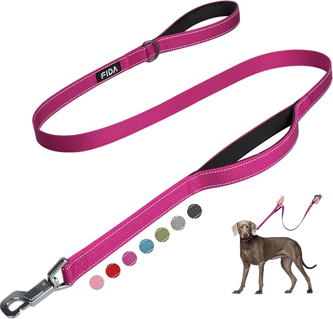 Fida Heavy Duty Dog Leash for Medium Large Dogs, 4 FT, Dual Padded Handles | Traffic Handle for Close Control, Advanced Easy Snap Hook, Reflective, Strong Nylon Webbing for Daily Walks & Training, Rose by Fida