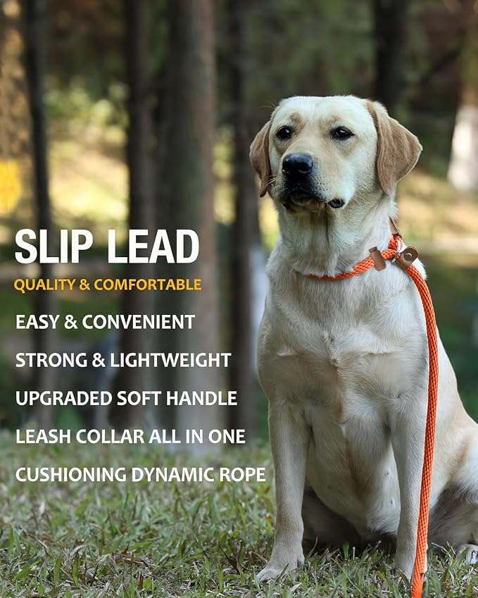 2 Pack Dog Leash Slip Lead Braided Rope Pet Training Loop Leashes 6ft 8ft | Lynxking Strong Heavy Duty 1/2" 3/8", Durable Padded Handle No Pull Basic Training Nylon Lead,Small Medium Large Dogs Puppy - Image 6