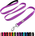 6 FT Basic Dog Leash for Large Dogs,Padded Handle, Magenta | Padded Handle,Metal D-Ring,Heavy Duty Nylon Webbing, for Walking & Training by Penseepet