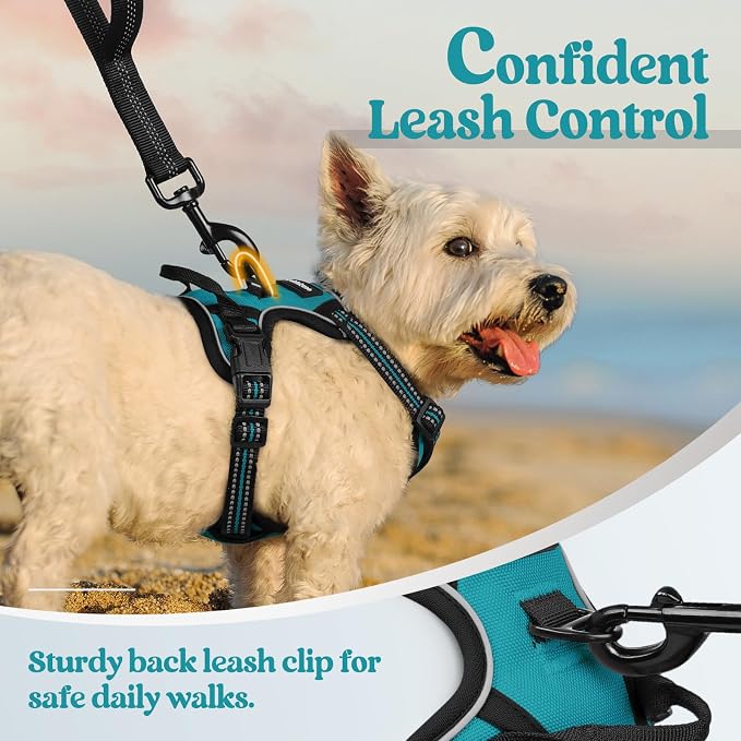 rabbitgoo Dog Harness No Pull with 2 Leash Clips, Adjustable Soft Padded, Reflective Oxford No Choke Pet Vest with Easy Control Handle for Puppy, Teal, XS | No Choke with Handle, Adjustable Soft Padded, Reflective, Easy Control for Walking, Teal, X-Small - Image 6