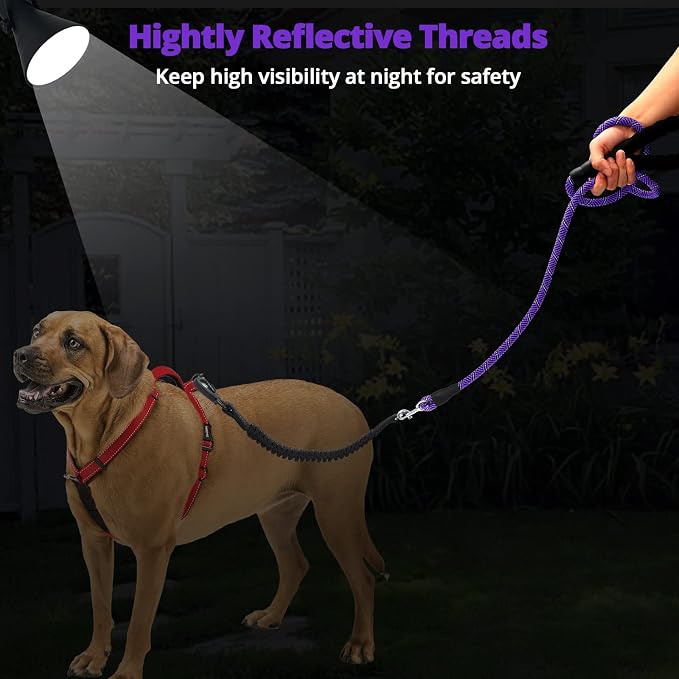 Long Dog Leash 10 FT: Heavy Duty Rope Leashes for Dogs Training with Swivel Lockable Hook Reflective Threads Bungee and Padded Handle - Dog Lead for Large Small Medium Dogs Outside Walking Hiking - Image 6