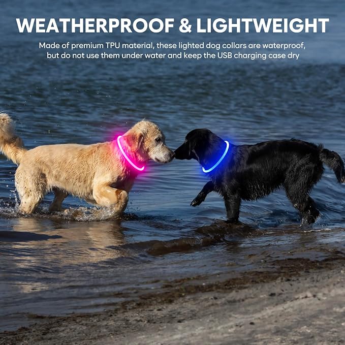 Light Up Dog Collar - Waterproof LED Dog Collar Rechargeble, TPU Cuttable Glow in the Dark Safety Dog Lights for Night Walking(Blue) - Image 9