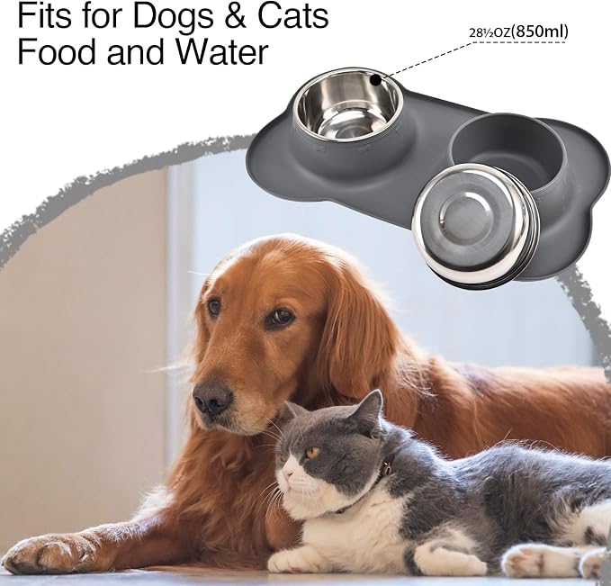 Dog Bowls 2 Stainless Steel Bowl for Pet Water and Food Feeder with Non Spill Skid Resistant Silicone Mat for Pets Puppy Small Medium Cats Dogs - Image 6