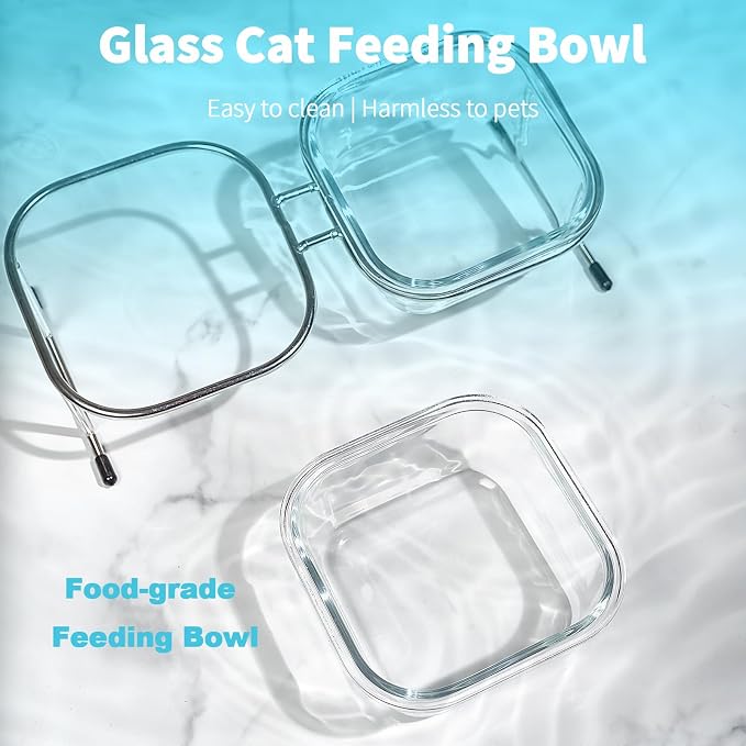 Elevated Cat Bowls, 15° Tilted Glass Raised Cat Food and Water Bowl | Stainless Steel Stand, 2 Large Capacity Glass Cat Bowls and 4 Anti Slip Feet, Suitable for Cats and Little Dogs - Image 4