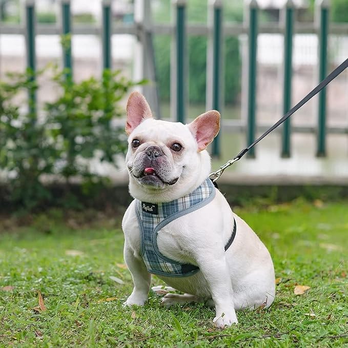PUPTECK Small Dog Harness and Leash Set No Pull for XS XXS Sized Dogs Puppy | Escape Proof No Choke Pet Cat Adjustable Soft Padded Walking Vest - Image 7
