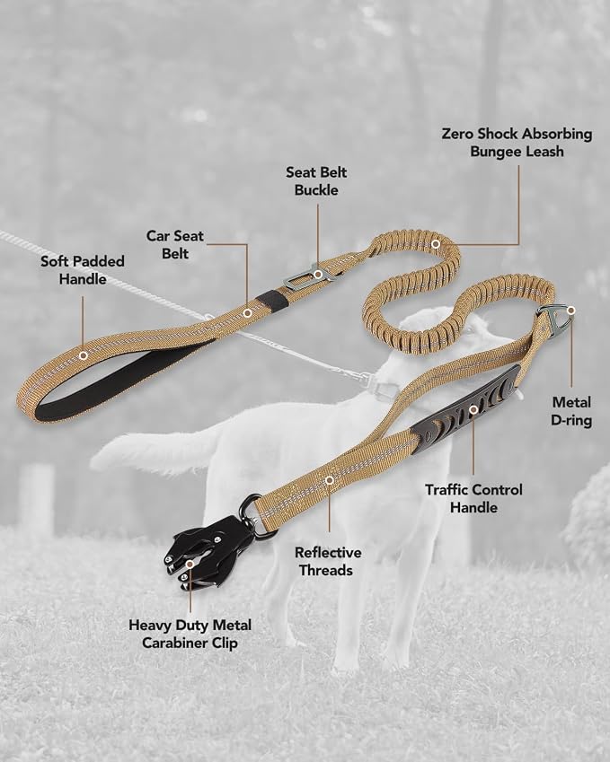 Joytale Tactical Bungee Dog Leash, Shock Absorbing No Pull, Coyote Brown | for Large Dogs That Pull, 2 Padded Handles for Control, Car Seatbelt Clip, Reflective for Night Safety, Metal Frog Clip - Image 7