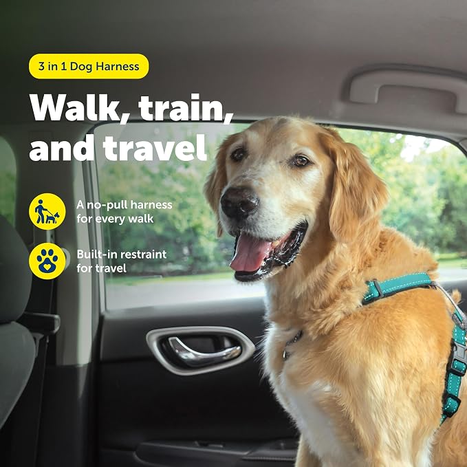 PetSafe 3 in 1 No-Pull Dog Harness - Walk, Train or Travel - Helps Prevent Pets from Pulling on Walks - Seatbelt Loop Doubles as Quick Access Handle - Reflective Accents - Large, Teal | Rests on Chest Not Throat to Reduce Pulling, 5 Adjustment Points, ... - Image 2