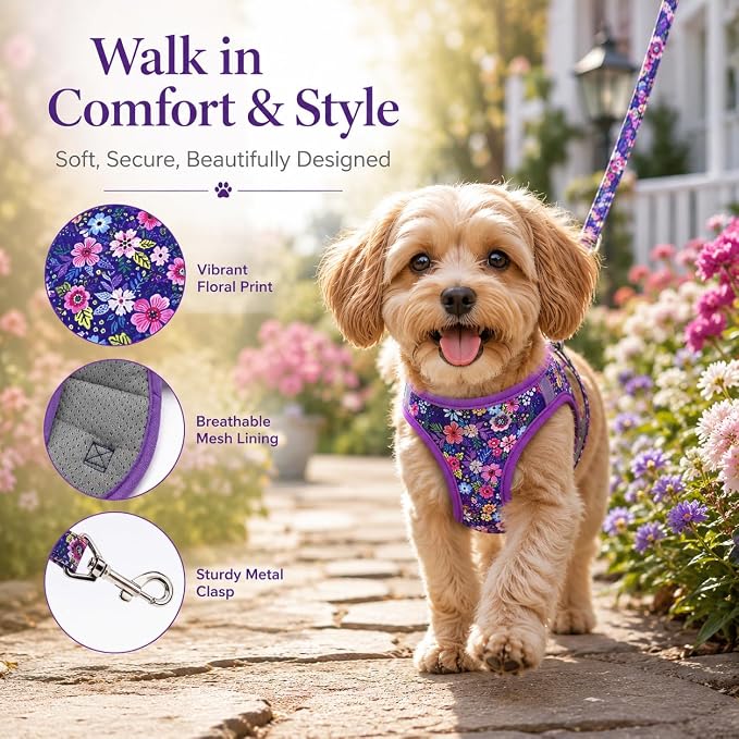 Step in Dog Harness Leash Set- All Weather Reflective No-Pull Floral Pattern Padded Mesh Vest Harness for Cats Puppy Extra-Small Small Medium Large Dogs - Dark Flower - L - Image 4