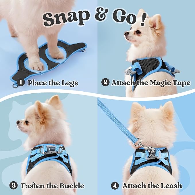 rabbitgoo Dog Harness Small Sized and Leash Set, Step in Soft Vest | Breathable Mesh, Easy Wear with Hook & Loop, Light and Reflective for Walking, Multi-colored, Black & Blue, S - Image 2