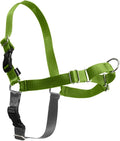 PetSafe Easy Walk Harness for Dogs - Pull-Free Walks - Patented Martingale Loop Design - Front Chest Leash Attachment - Comfort Straps - Breathable Harness Design - Small/Medium, Apple Green/Gray | Patented Martingale Loop Gives Gradual Shoulder Pressu... by PetSafe