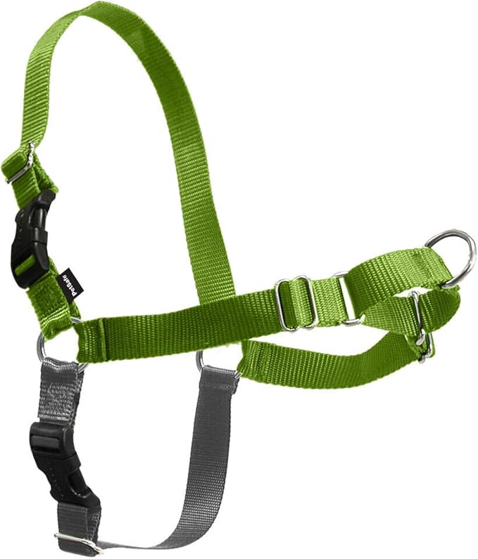 PetSafe Easy Walk Harness for Dogs - Pull-Free Walks - Patented Martingale Loop Design - Front Chest Leash Attachment - Comfort Straps - Breathable Harness Design - Small/Medium, Apple Green/Gray | Patented Martingale Loop Gives Gradual Shoulder Pressu... by PetSafe