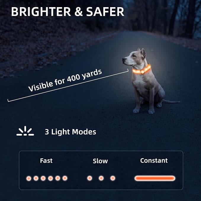 Super Bright LED Dog Collar, Waterproof Light up Collars(Orange, Large) | Lighted Dog Collar with Adjustable Fit, Soft Nylon Comfort, USB-C Rechargeable, Glow in the Dark Visibility for Night Walks - Image 5