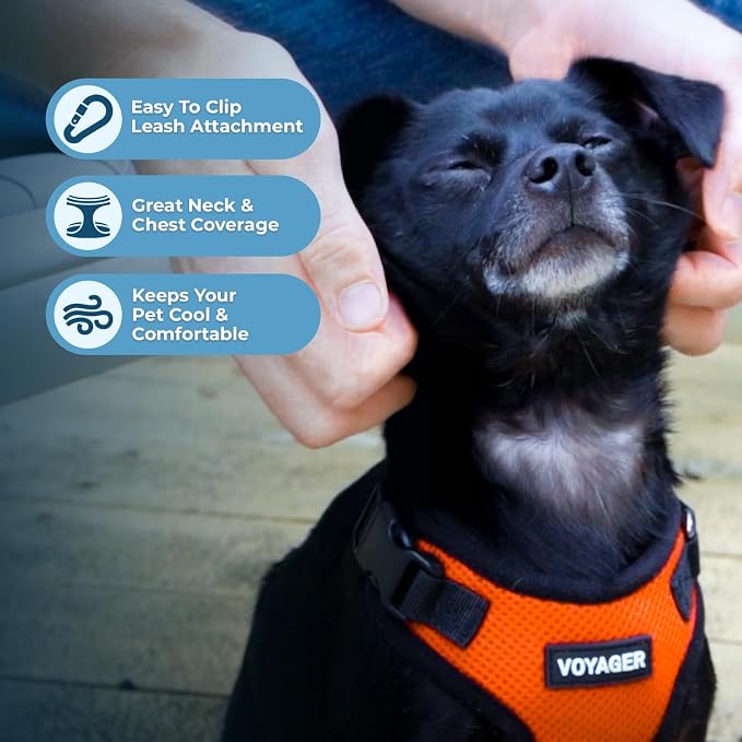 Voyager Step-in Lock Dog Harness - Orange/Black Trim, X-Small | 13 - 16" in Chest, Adjustable, Breathable Air Mesh, Lightweight for Daily Walks, Strong Clips, Heavy Duty D-Ring - Image 3