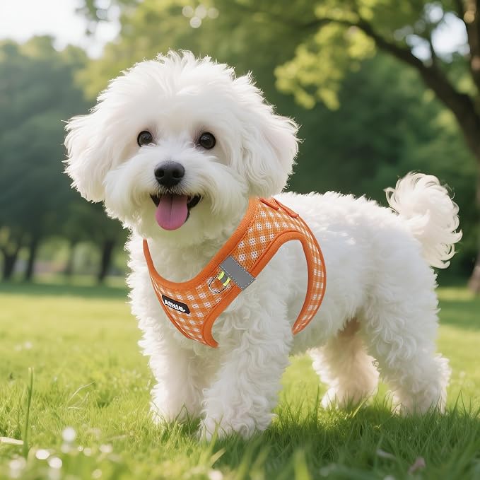 AIITLE Step in Small Dog Harness and Leash Set, Puppy Pet Vest, Orange XXS | Breathable Mesh, Adjustable Fit, No-Pull Reflective Design, Escape Proof, for Small-Medium Dogs, Outdoor Walking, Running - Image 7