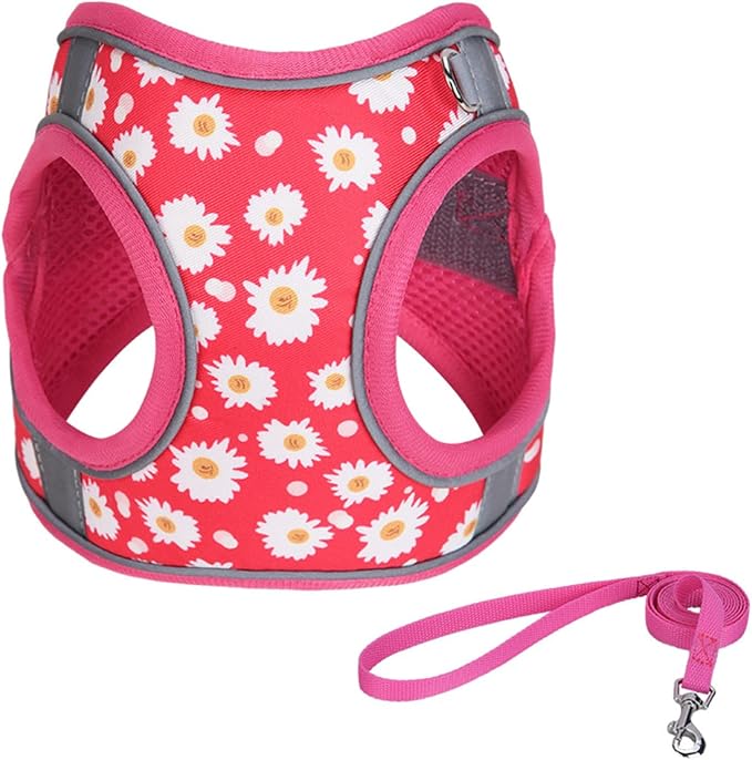 Step in Dog Harness No Pull Flower Adjustable Soft Mesh Harness | Reflective Escapeproof Pet Vest Harness and Leash Set for Small Medium Dogs by KocaPlye