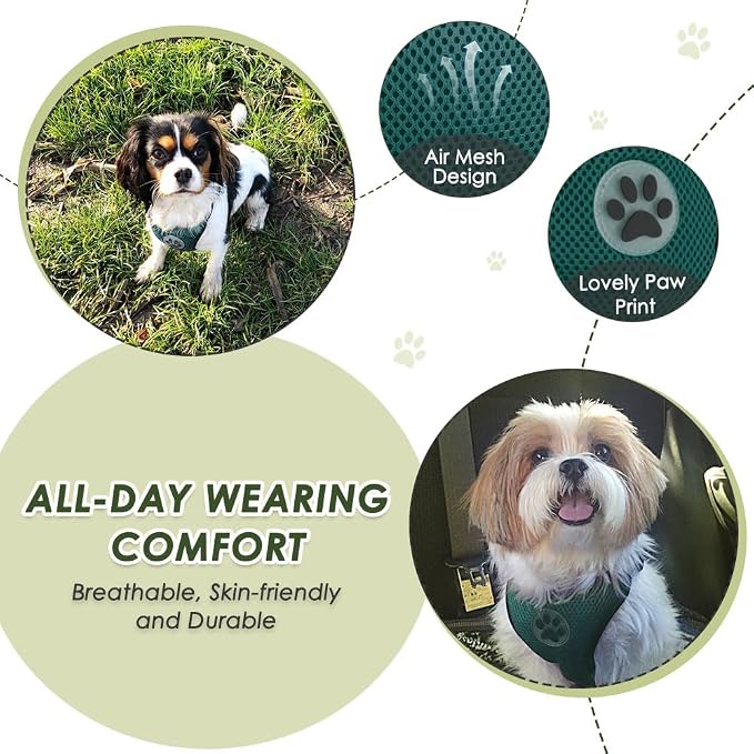 Lukovee Dog Car Harness Seat Belt, Harness & Seatbelt with 2 in 1 Buckle | Adjustable Soft Breathable Mesh Harness, Reflective Elastic Reflective Tether, for Small Medium Large Dogs Pets (Green, L) - Image 2