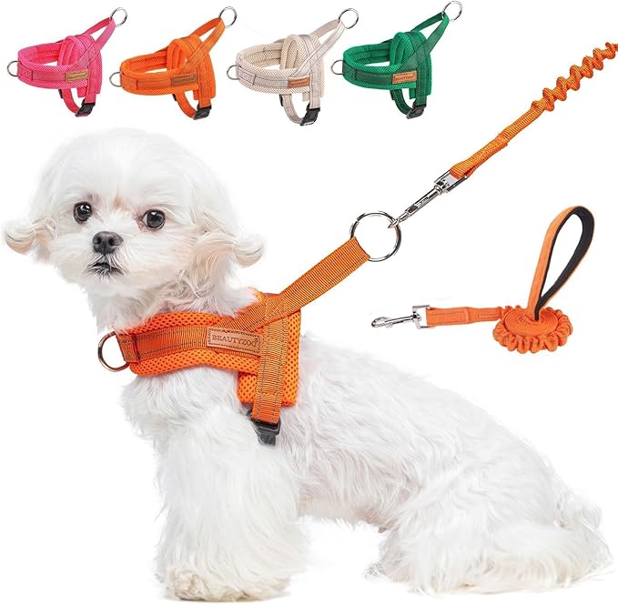 BEAUTYZOO Small Dog Harness and Leash Set, No Pull Step in Puppy Vest | Breathable Mesh with Handle, Reflective, Adjustable No Choke Escape Proof, Lightweight, Easy Control for Walking, Orange XS by BEAUTYZOO