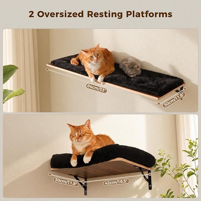 PAWZ Road Cat Wall Shelves, Modern Cat Wall Furniture with Sisal Posts | 5-in-1 wall mounted cat tree ,wood cat shelves with long perch,cat wall climber holds up to 40lbs for large indoor cats - Image 4