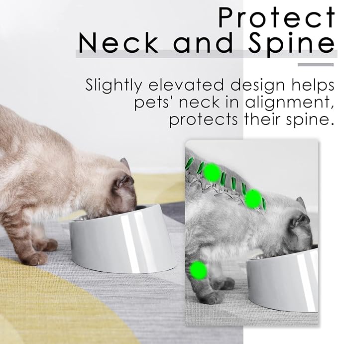 SUPERDESIGN Anti-Vomiting 15° Slanted Pet Bowl, S/0.5 Cup, Gray | 15° Tilted, Anti-Vomit & Neck Relief, Non-Slip Base, Detachable Stainless Steel Liner, Dishwasher Safe, for Cats & Dogs - Image 3