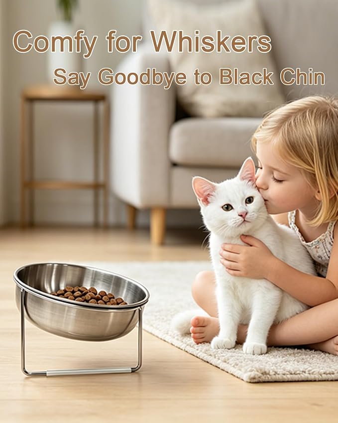 15° Tilted Cat Food Bowls 304 Stainless Steel Kitten Food Bowl Raised Food and Water Dish for Cats Elevated Cat Bowl Plate Stand Whisker Friendly Smooth Polished Easy to Clean Dishwasher Safe 2PACK - Image 3