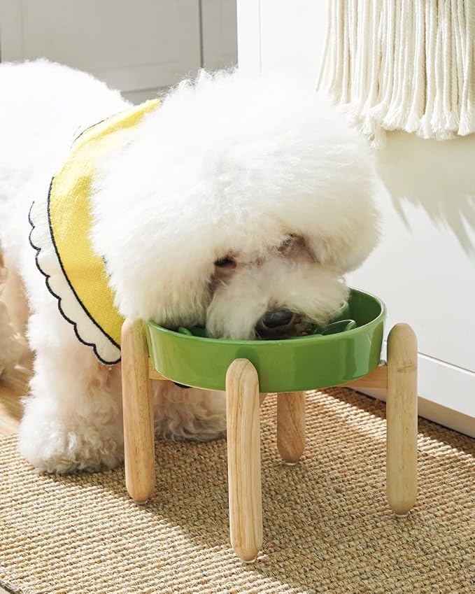 LE TAUCI Ceramic Slow Feed Dog Bowls, Elevated for Small Breeds, Anti-Gulping, Non-Slip, 6 inch, Green - Image 2