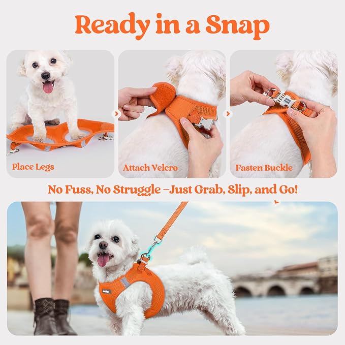 rabbitgoo Dog Harness Small Sized and Leash Set, Step-in Puppy Pet Vest | Light, Soft, Breathable Air Mesh, Easy on and Remove with Hook & Loop, Secure Reflective for Walking, Orange XXS - Image 8