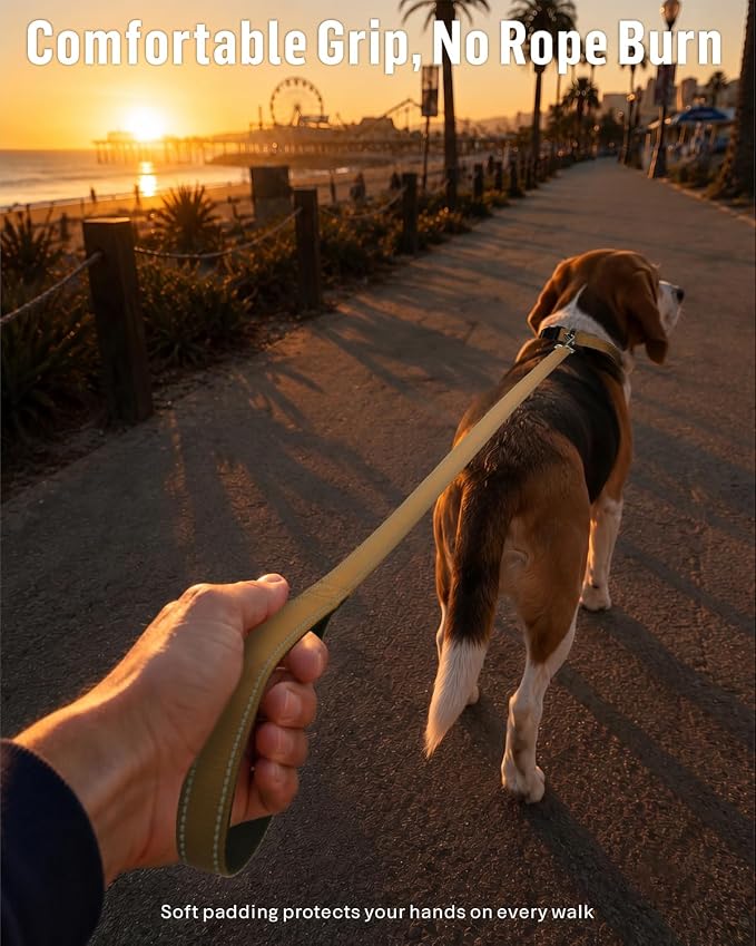 FunTags Reflective Nylon Dog Leash for Small & Medium Dogs, 4FT Training | Comfortable Padded Grip, Stay Safe at Night, 360° Anti-Tangle Swivel, for Dog Parks & Trails, Khaki - Image 2