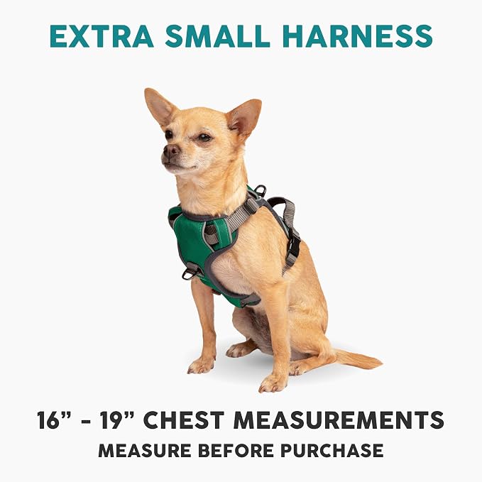 Embark No Pull Dog Harness, Reflective Adjustable Training Vest, No Choke | Adjustable straps fit all dog breeds with sturdy hooks; 360° reflective trim, soft padded Harness Design for All Dogs - Image 2
