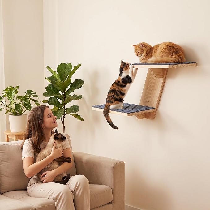 FlyonSea Large Cat Wall Shelves, Solid Wood Wall Mounted Cat Climbing Perch | Floating Kitty Wall steps with Non-slip Carpet, Corner Kitty Wall Furniture Supports up on 25lb, Cat Window Perch, Playing - Image 8