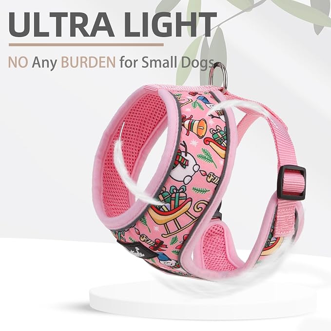 PUPTECK Small Dog Harness and Leash Set No Pull for XS XXS Sized Dogs Puppy | Escape Proof No Choke Pet Cat Adjustable Soft Padded Walking Vest - Image 5